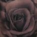 Tattoos - Black and Grey Rose - 70328